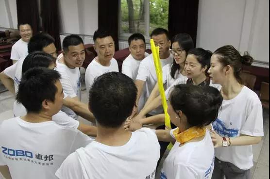 ZOBO绿巨人黄色下载