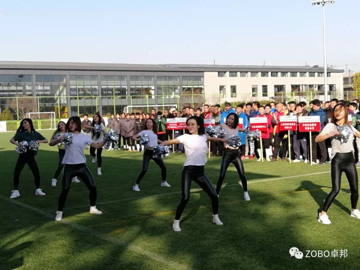 ZOBO绿巨人黄色下载