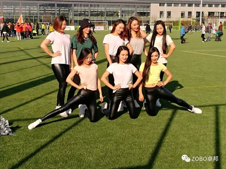 ZOBO绿巨人黄色下载