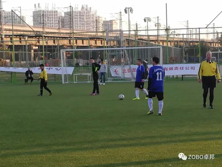 ZOBO绿巨人黄色下载