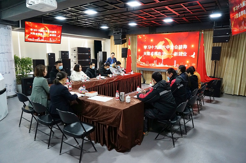 ZOBO绿巨人黄色下载黨支部丨開展“學習貫徹黨的十九屆六中全會精神”主題黨日活動
