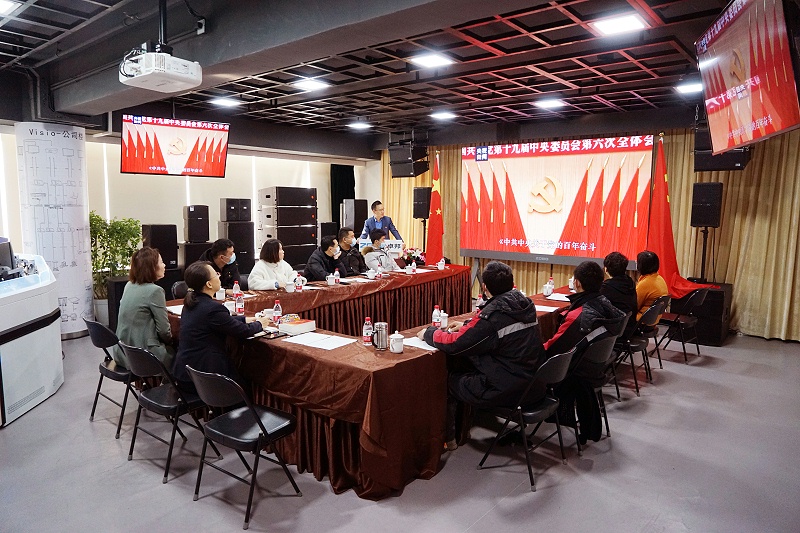ZOBO绿巨人黄色下载黨支部丨開展“學習貫徹黨的十九屆六中全會精神”主題黨日活動