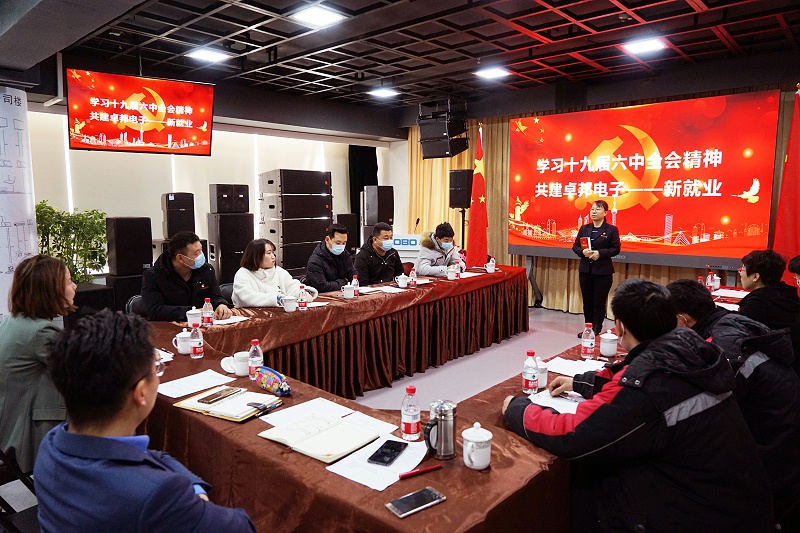 ZOBO绿巨人黄色下载黨支部丨開展“學習貫徹黨的十九屆六中全會精神”主題黨日活動