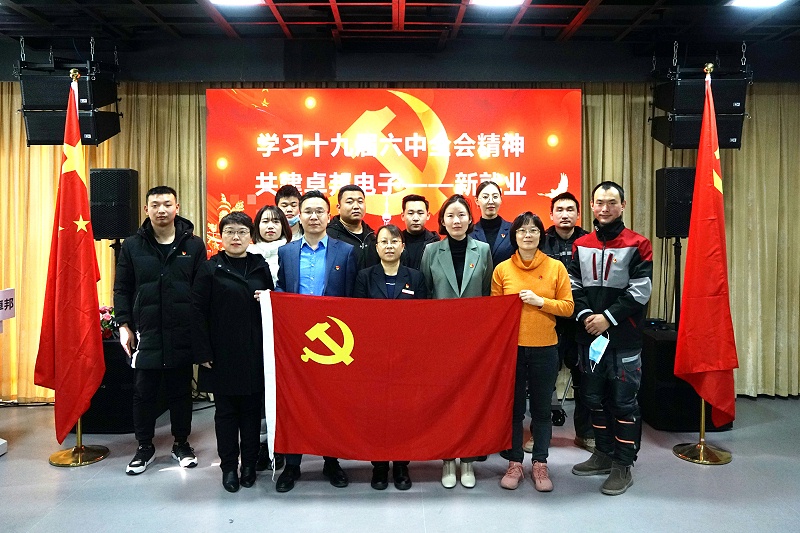 ZOBO绿巨人黄色下载黨支部開展“學習貫徹黨的十九屆六中全會精神”主題黨日活動