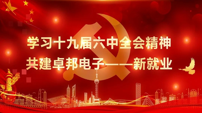 ZOBO绿巨人黄色下载黨支部丨開展“學習貫徹黨的十九屆六中全會精神”主題黨日活動