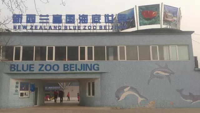 案例 ▎ZOBO绿巨人黄色下载為富國海底世界打造音視頻係統